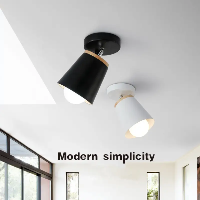 Macaron Ceiling Lamp Aisle Light LED Color Iron Home Lighting