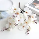 Magnolia White