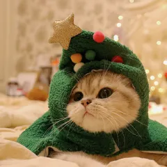 Pet Autumn And Winter Warm Antlers Hat Cloak - Christmas Tree Cloak - View 1