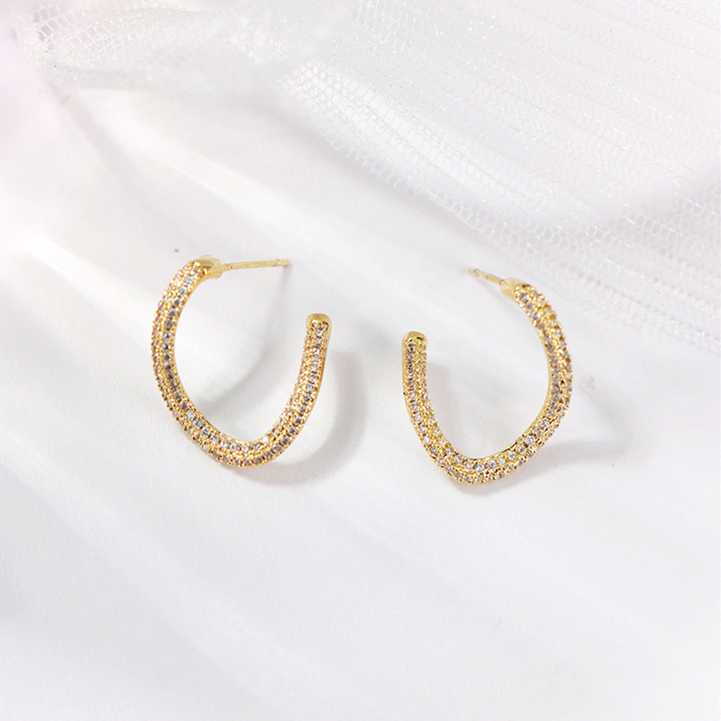 Special-interest Design Micro Inlaid Zircon Earrings For Women