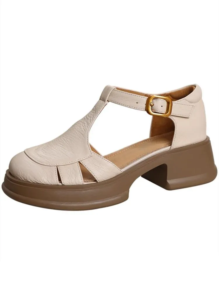 All-match Retro Small Chunky Heel Platform Ankle-strap High Heels - Beige