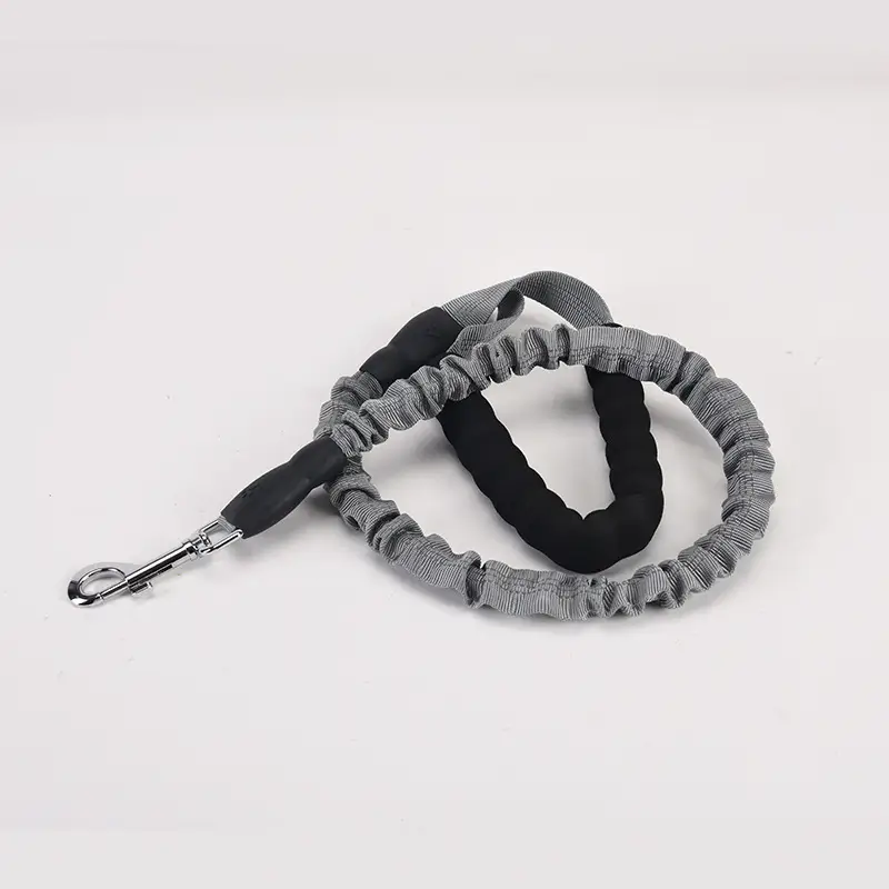 Dog Hand Holding Rope Walking Dog Lengthened Dog Leash