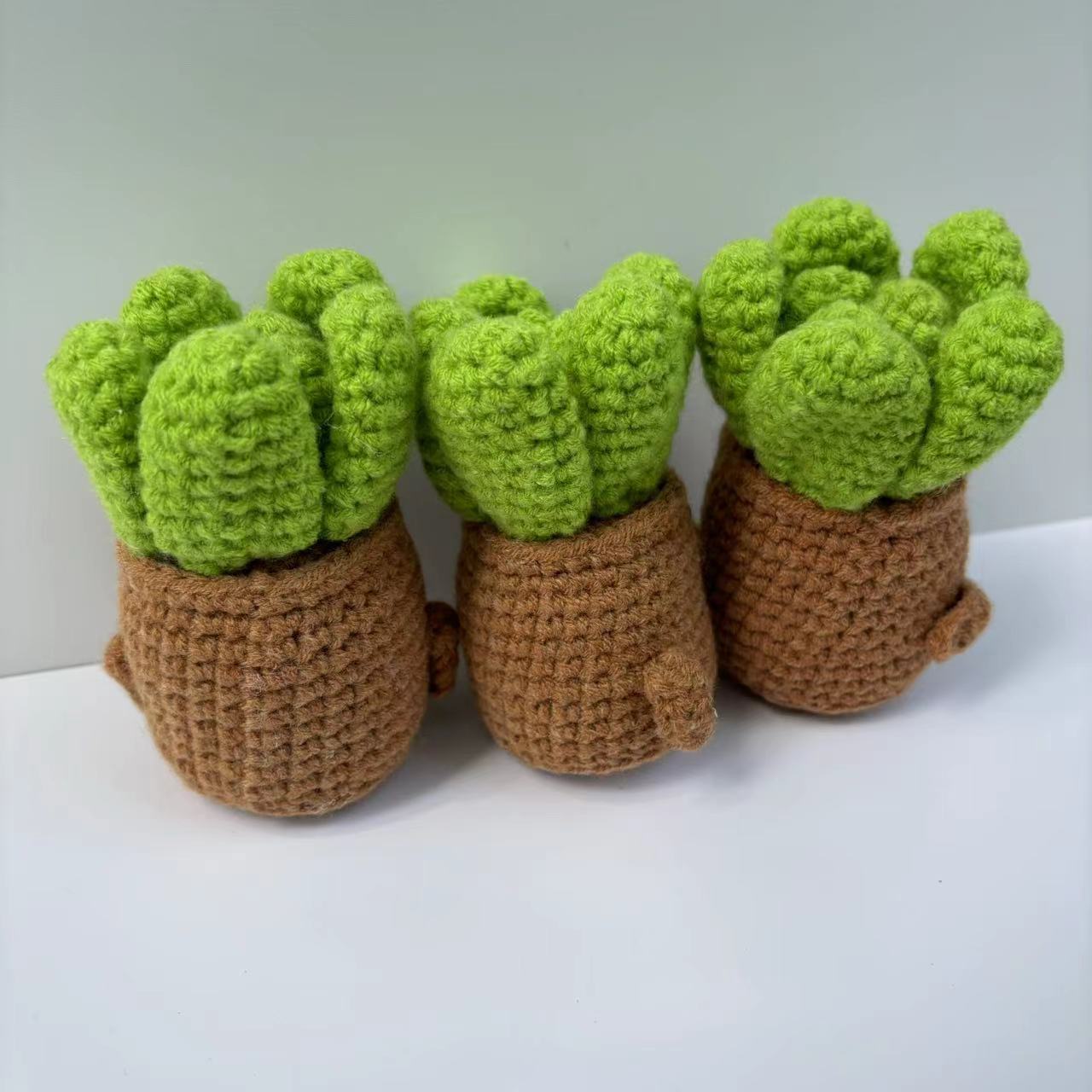 Title 11, Ornements de succulentes crochetées à la main e...