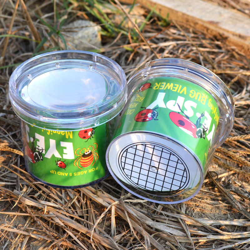 Insect magnifying glass viewer jar (color box packaging)