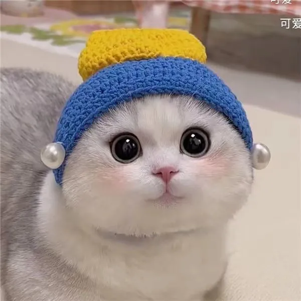Wool Pet Hood Dogs And Cats Knitted Hat Prop Headdress Pearl Girl - Shop at LoveMi