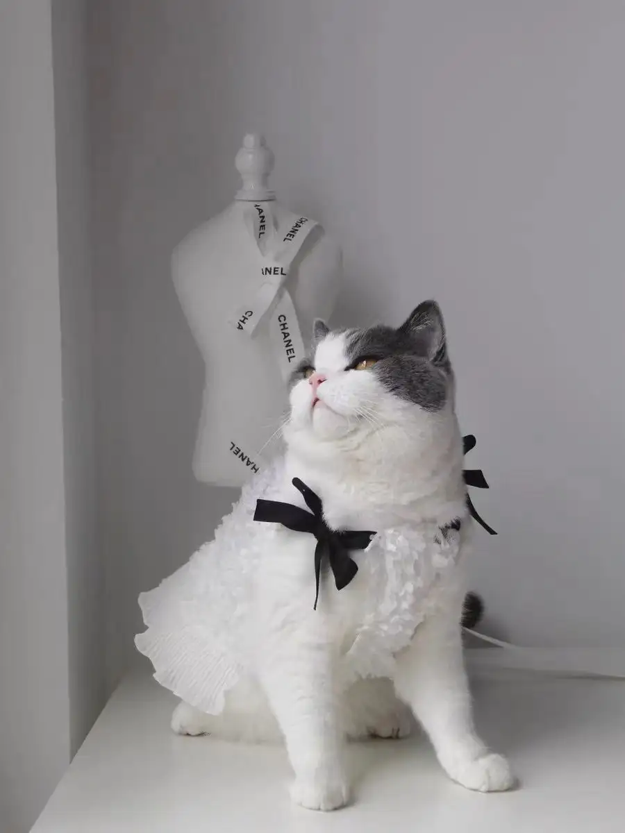 Pet Thin Dog Cat Flower Skirt