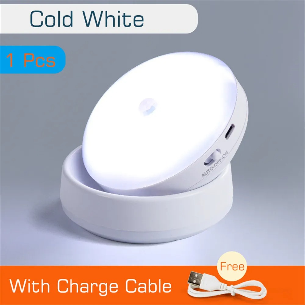 Rechargeable White Light