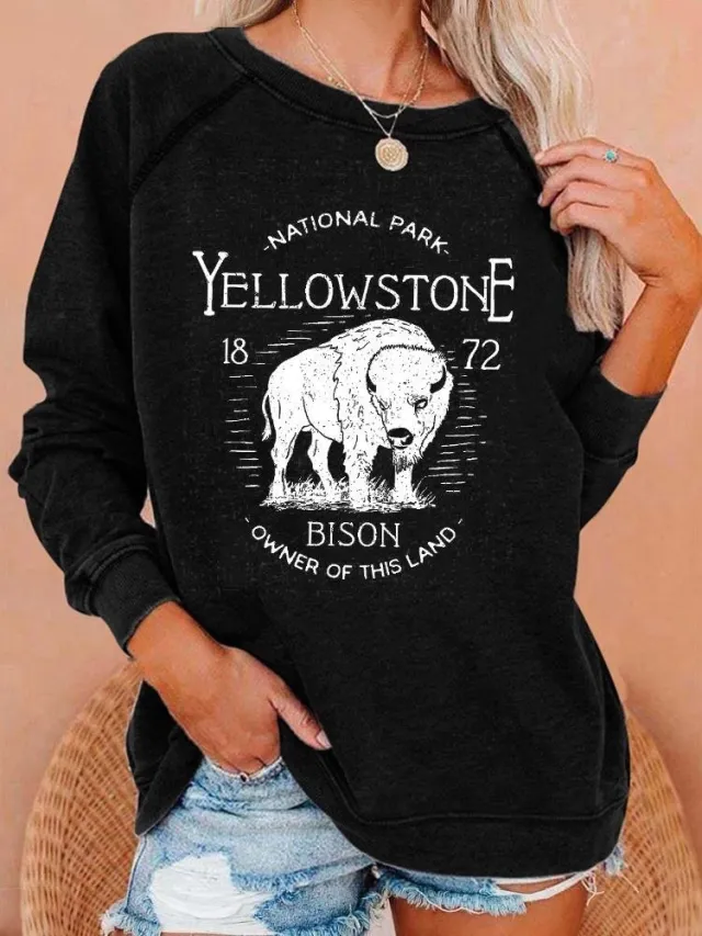 New European And American Personalized Elements Women's Sweater Style25 M - Shop at LoveMi