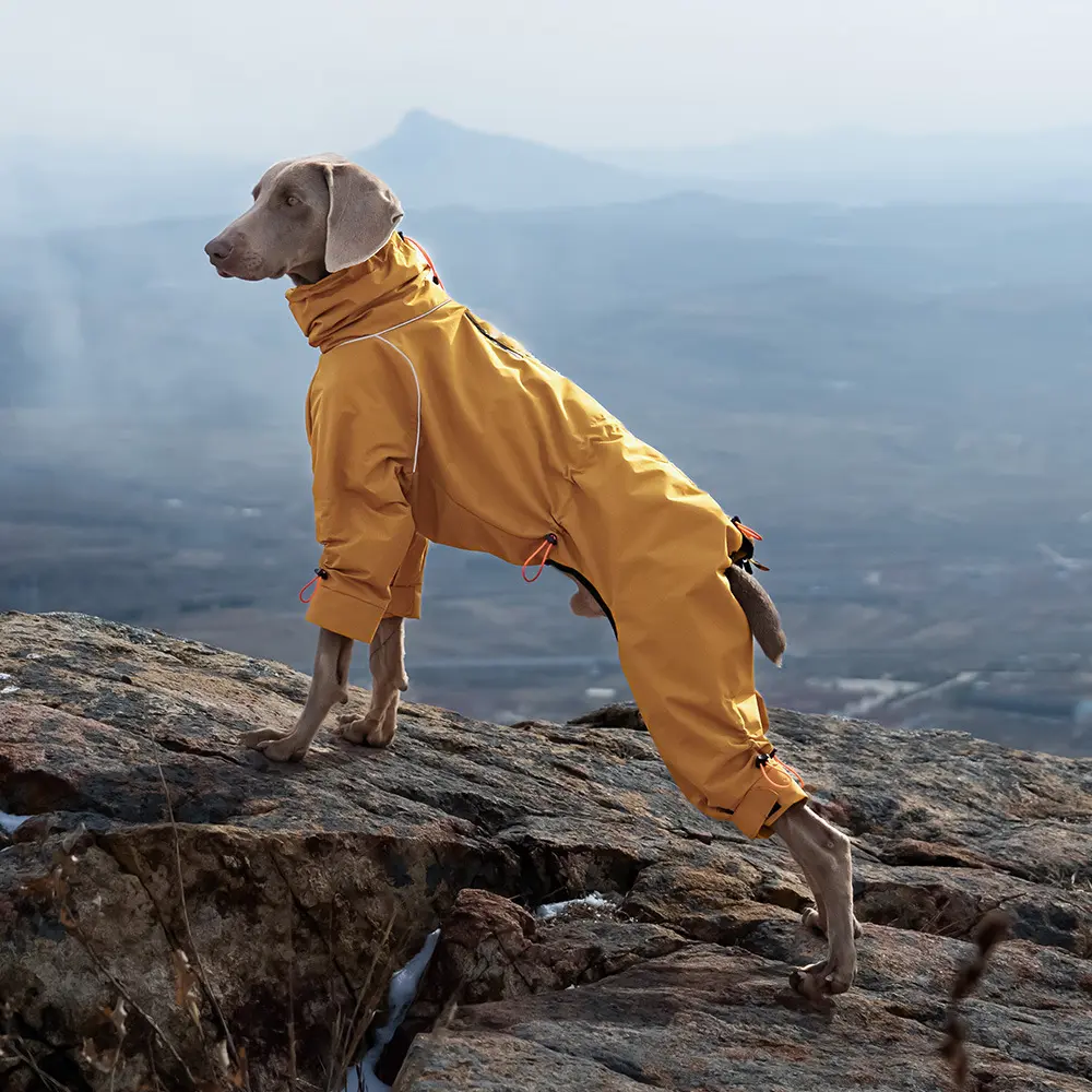 Large Dog Four-leg Shell Jacket Windproof Turtleneck