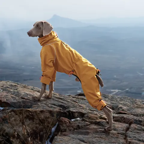 Large Dog Four-leg Shell Jacket Windproof Turtleneck Outdoor Keep