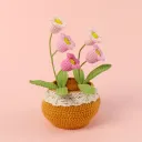 5 Pink Lily