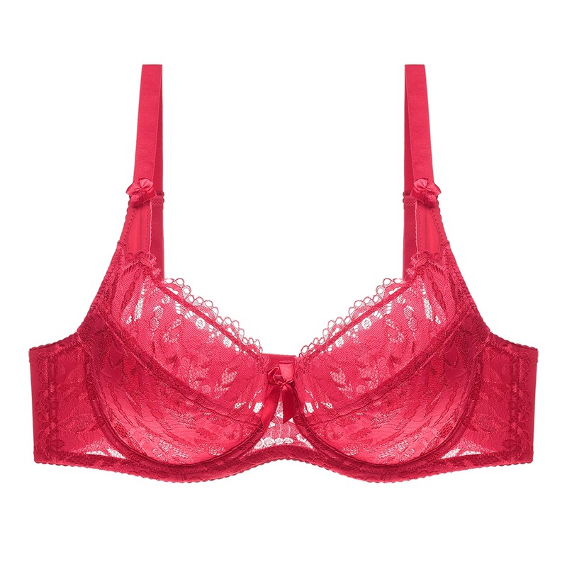 Title 27, Reggiseno in pizzo ultra-sottile sexy, intimo c...