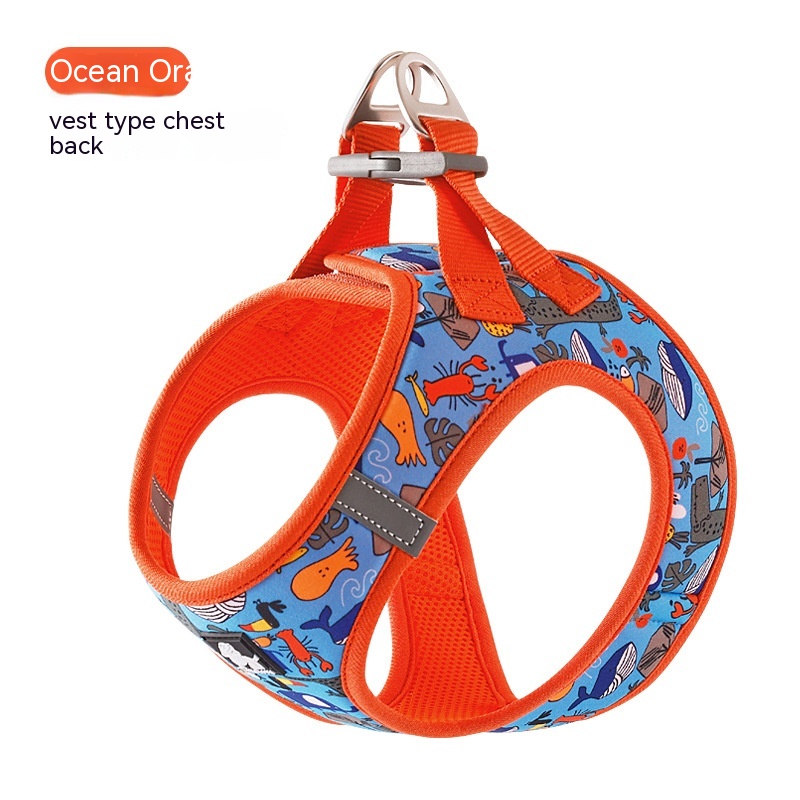 Ocean Orange