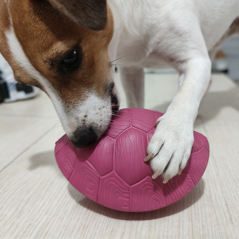 Turtle Shell Chew Toy