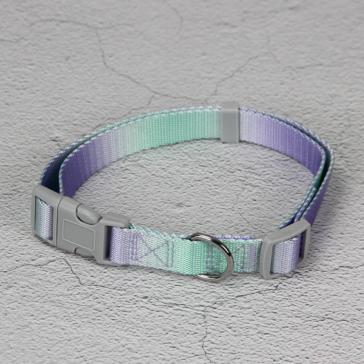 Single Collar Purple Green