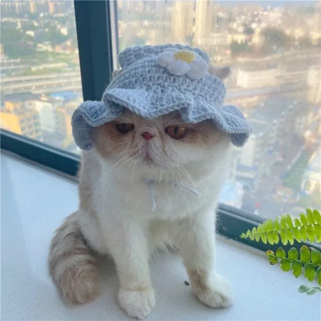 Pet Hood Cat Dog Knitted Hat Prop Headdress Blue Flower - Shop at LoveMi