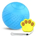 Blue Remote Control