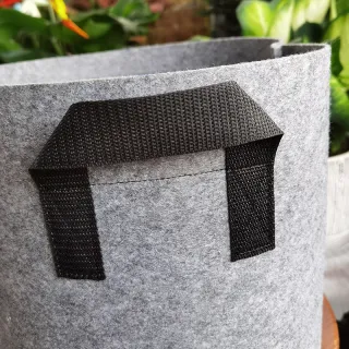 Non-woven Fabric Tree-planting Bag Gallon Pot