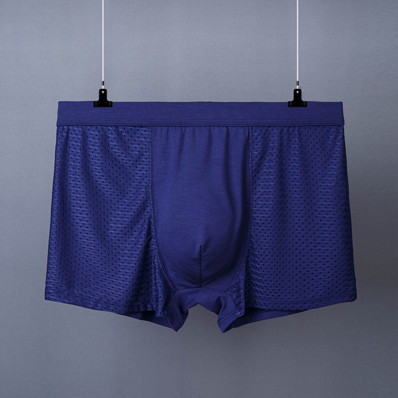Men's Boxer Plus Size Ice Silk See Through Breathable Mesh Thin Boxer Shorts