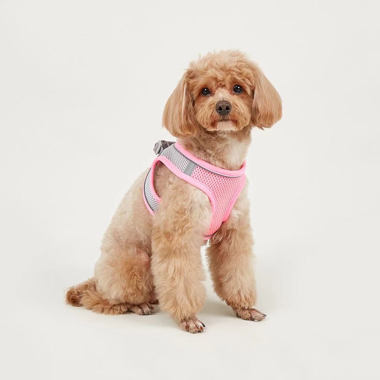 Title 12, Dog Hand Holding Rope Vest Small Dog Dog Leash ...