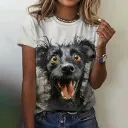 C01W23Ssdm43Sl00074-M