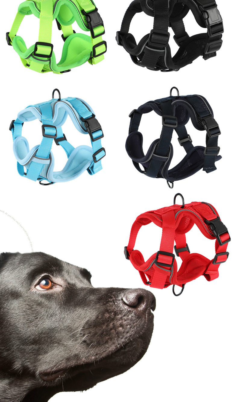 Vest-style Dog Leash And Harness Set detail photo 2
