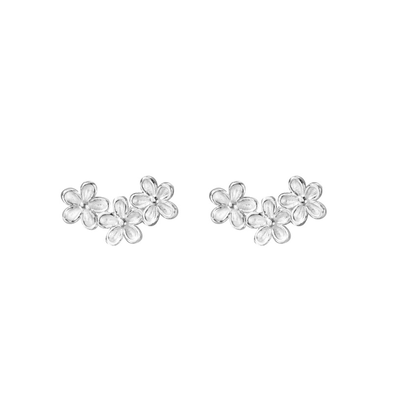 Women's Fashion All-matching Ear Bone Stud Niche
