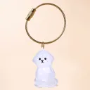 Puppy Bichon