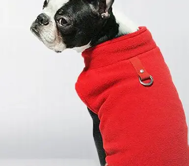 Pet Clothes Winter Polar Fleece Solid Color