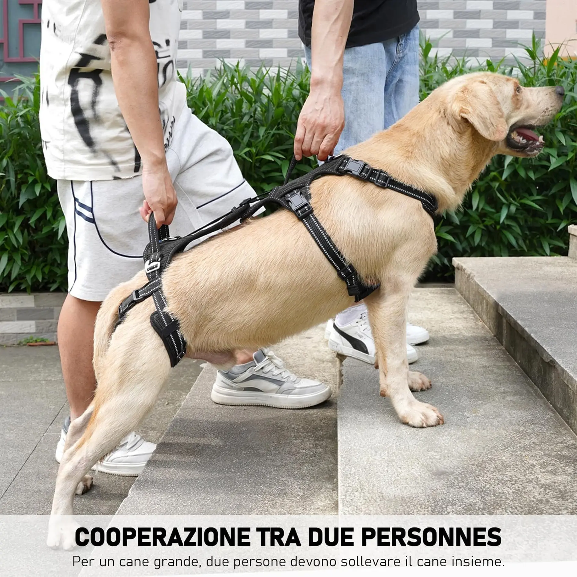 Best-selling Pet Assist Harness