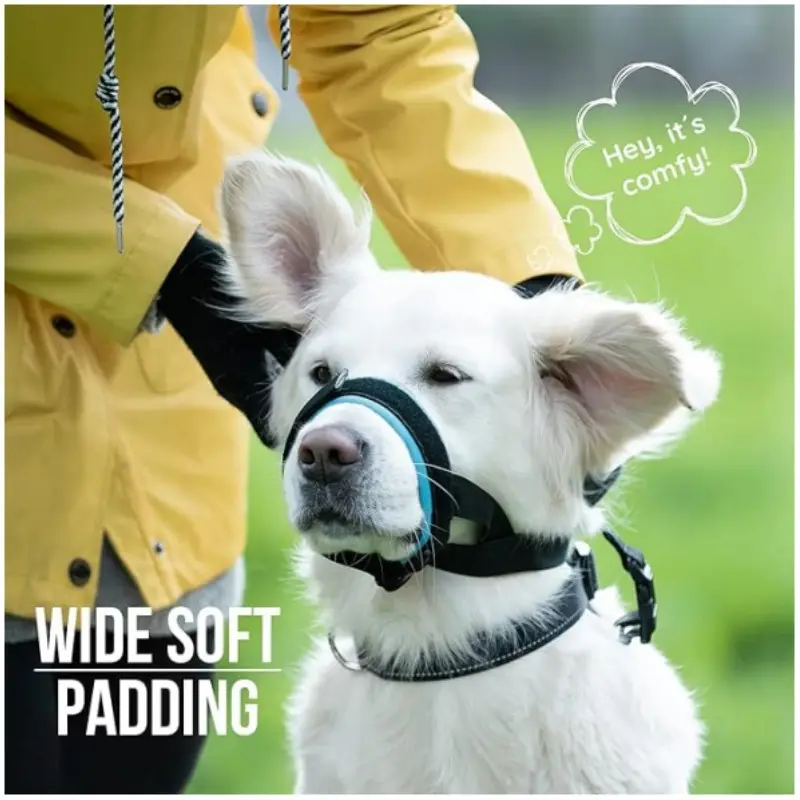 Pet Dog Mouth Cover More Sizes Muzzles
