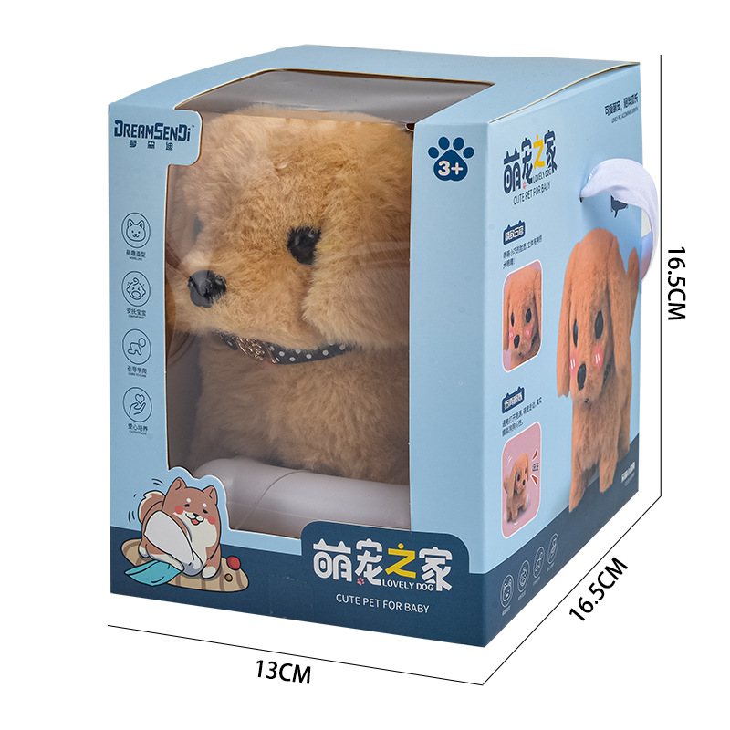 Golden Retriever Medium Box