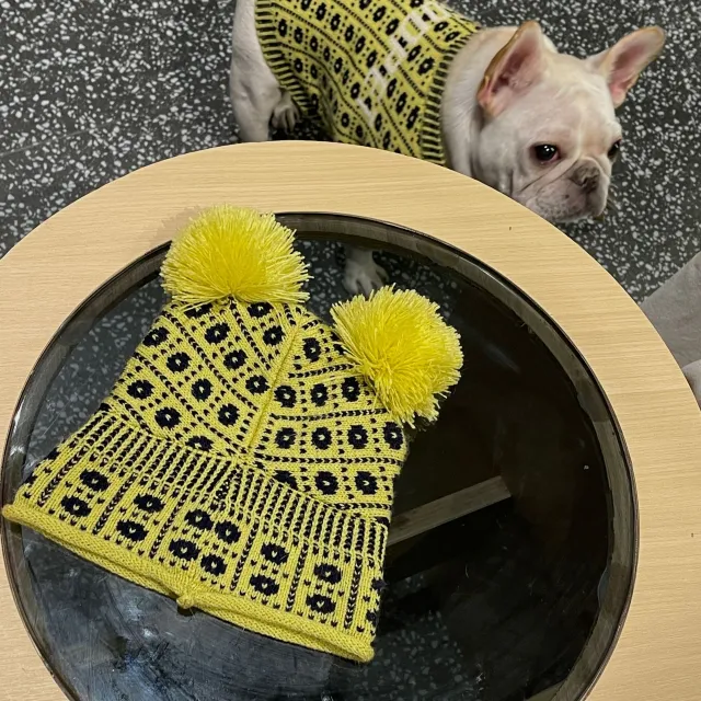 Dog Cat Pet Winter Sweater Hat - Shop at LoveMi