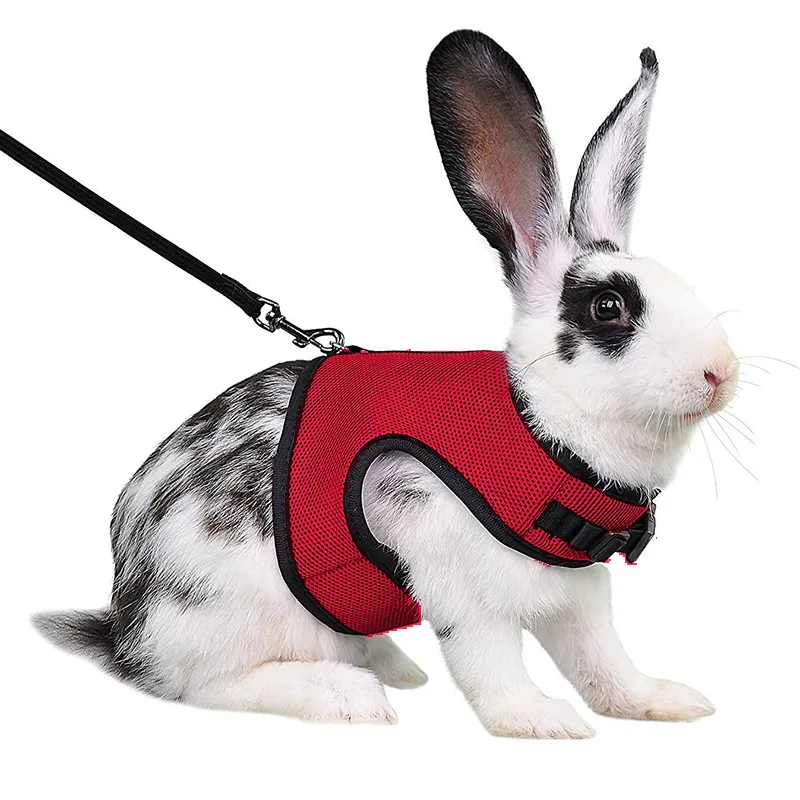 Guinea Pig Rabbit Rope Minipet Traction Vest Chest Back - Red