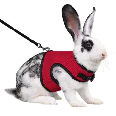 Guinea Pig Rabbit Rope Minipet Traction Vest Chest Back - Red - View 1