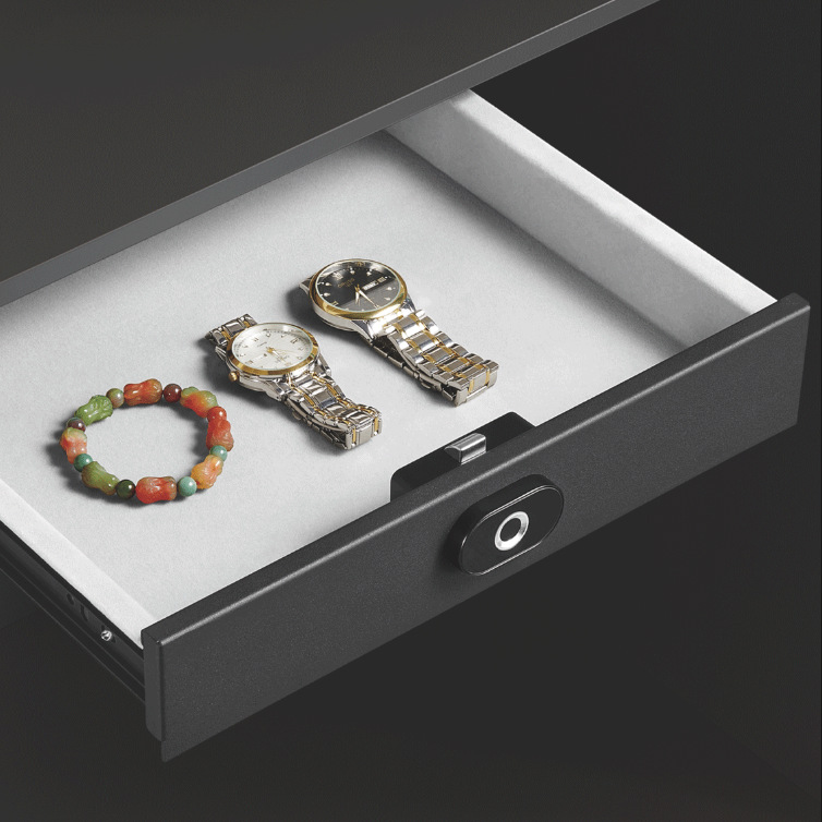 Graffiti Style Home Hidden Fingerprint Enabled Drawer