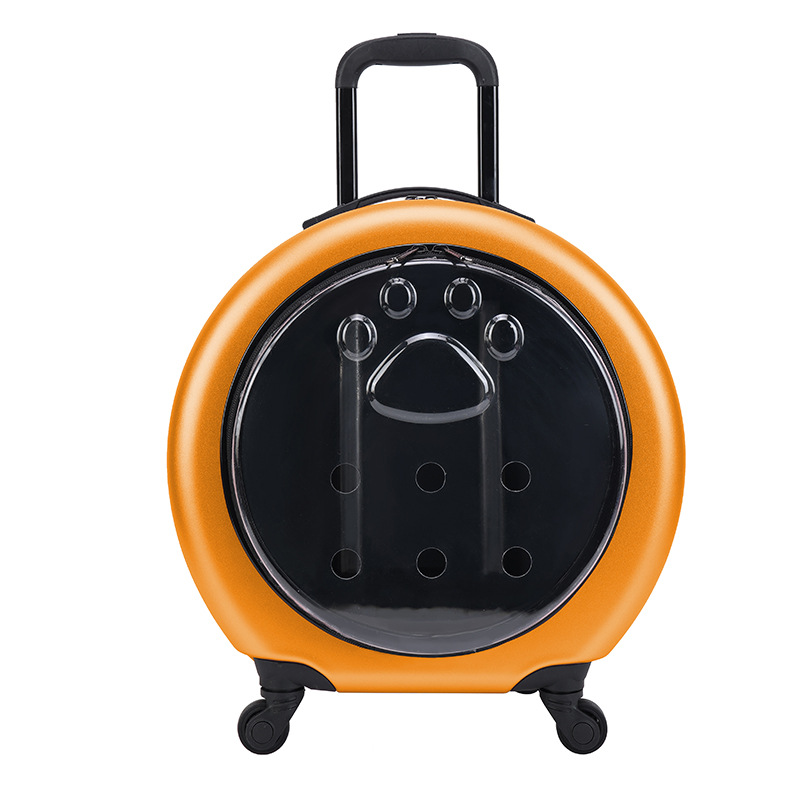 https://cf.cjdropshipping.com/quick/product/5920c654-8cf0-4cab-a556-c02223200cbc.jpg