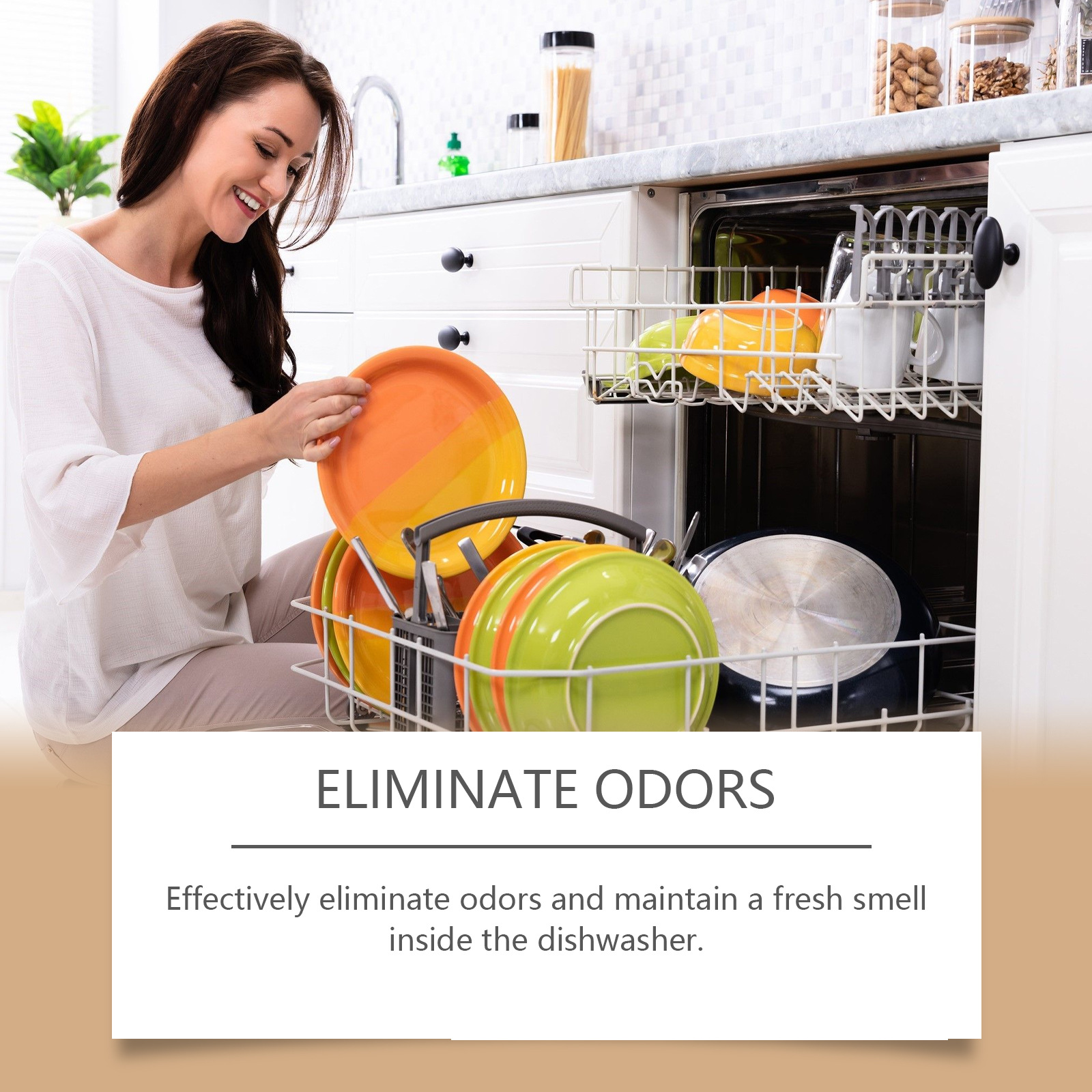 Title 3, Household Dishwasher Decontamination Washing Pi...