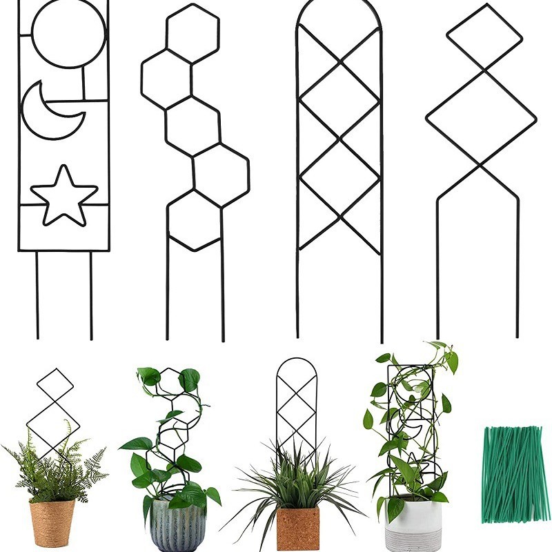 Creative Wrought-iron Support Rods For Plant Climbing Frames
