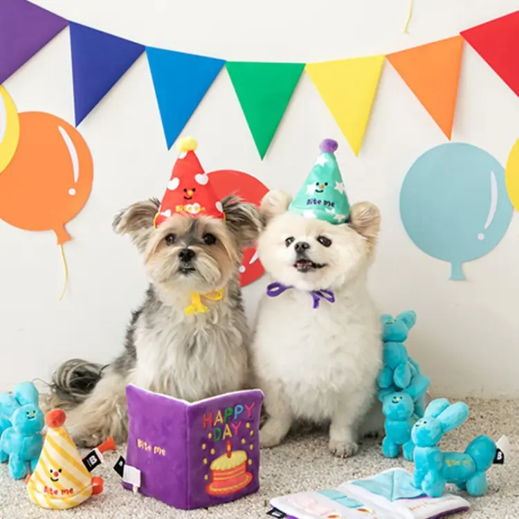 Multifunctional Pet Party Birthday Hat
