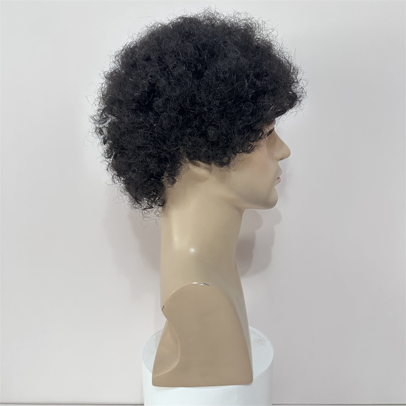 Human Wigs Short Curly Hair Afro Men And Women — foto 6