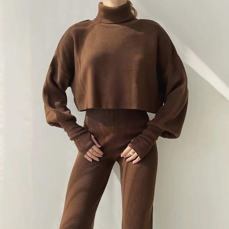 Autumn And Winter New European And American Turtleneck Loose Long Sleeve Top Female Casual Fashion Set - Brown