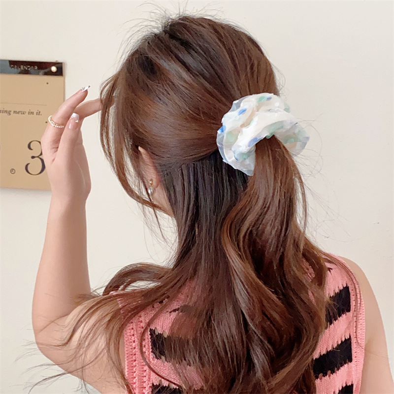 Title 20, Ponytail High Elastic Large Intestine Hair Ring