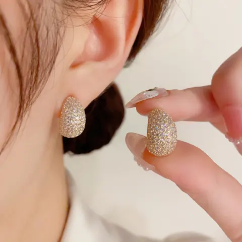 Sterling Silver Needle Korean Exquisite Fashion Shiny Micro Inlaid