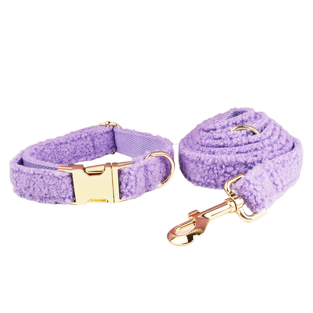 Dog Collar And Dog Leash