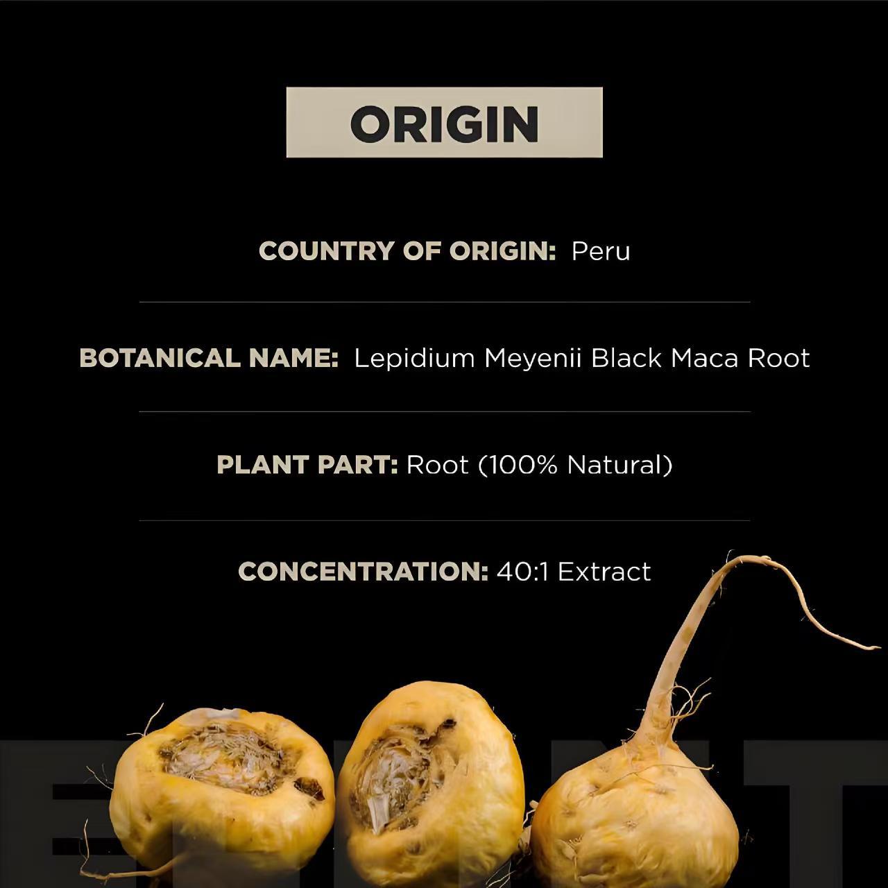Gélules de Maca Noire pour Hommes — Complément Alimentaire 3