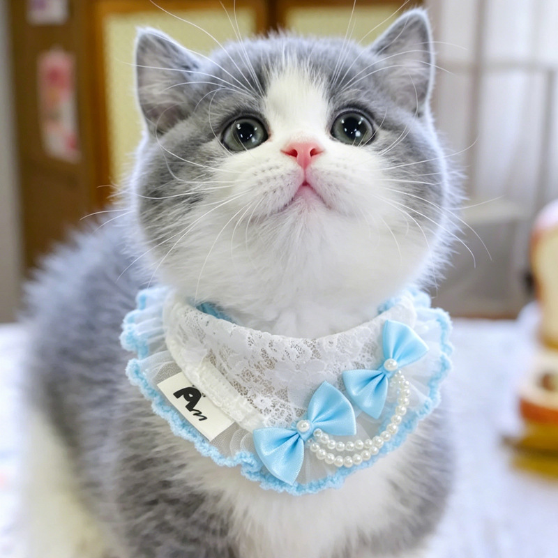 Lace Pom-Pom Pet Collar