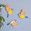Blue Titmouse