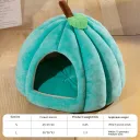 Peacock Blue