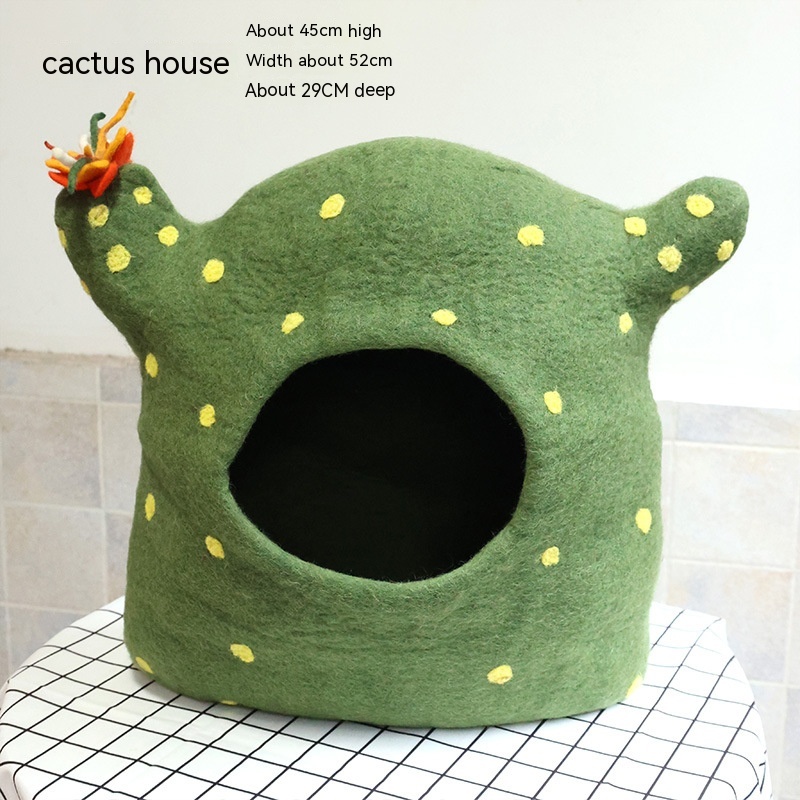 Cactus